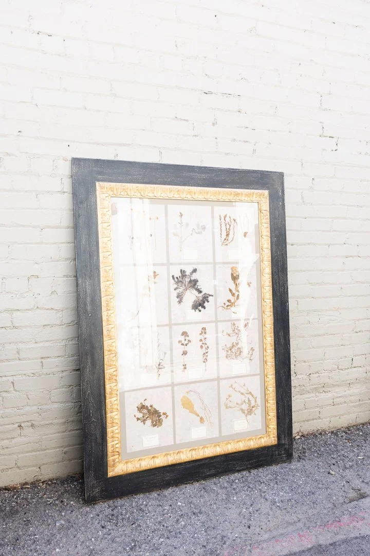 Antique Herbariam

Handpicked collection &
custom framing
60h 43.5w 
$2,895