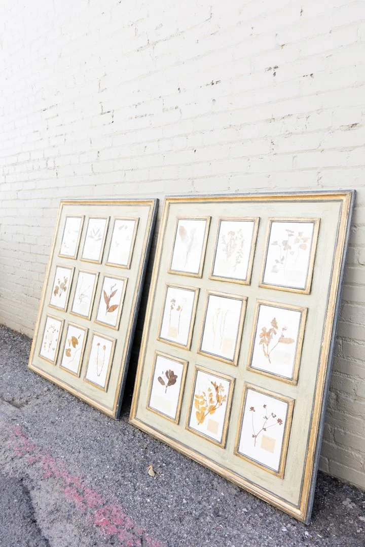 Antique Herbarium

Handmade collection &
wood painted framing
48h 38.25w
$2,495/ea