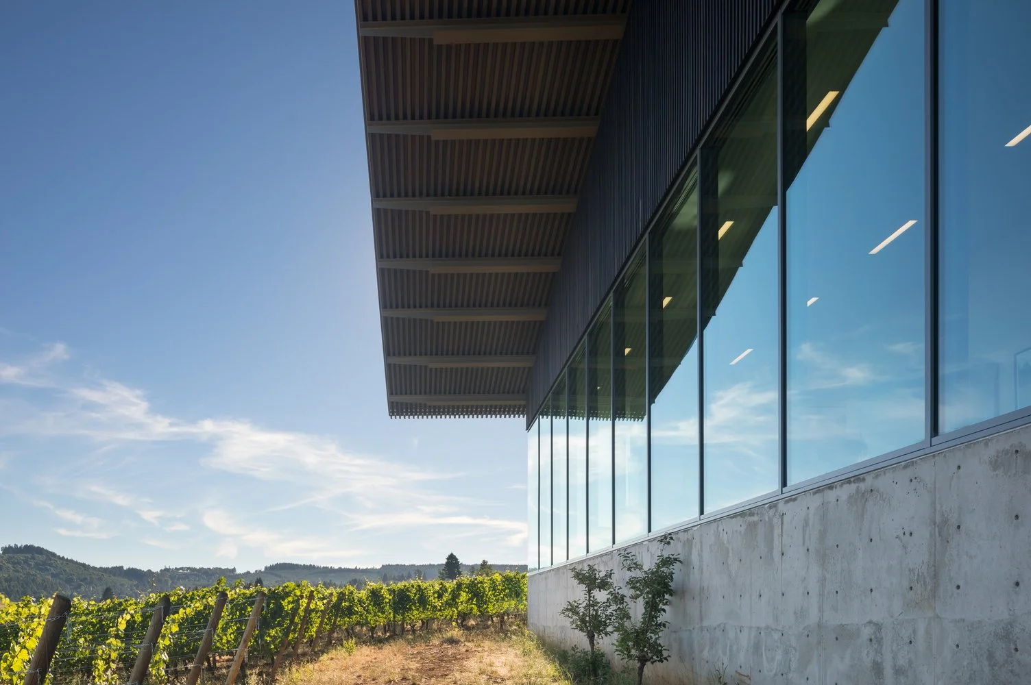 Modern building with large glass windows overlooking a vineyard under a clear blue sky.