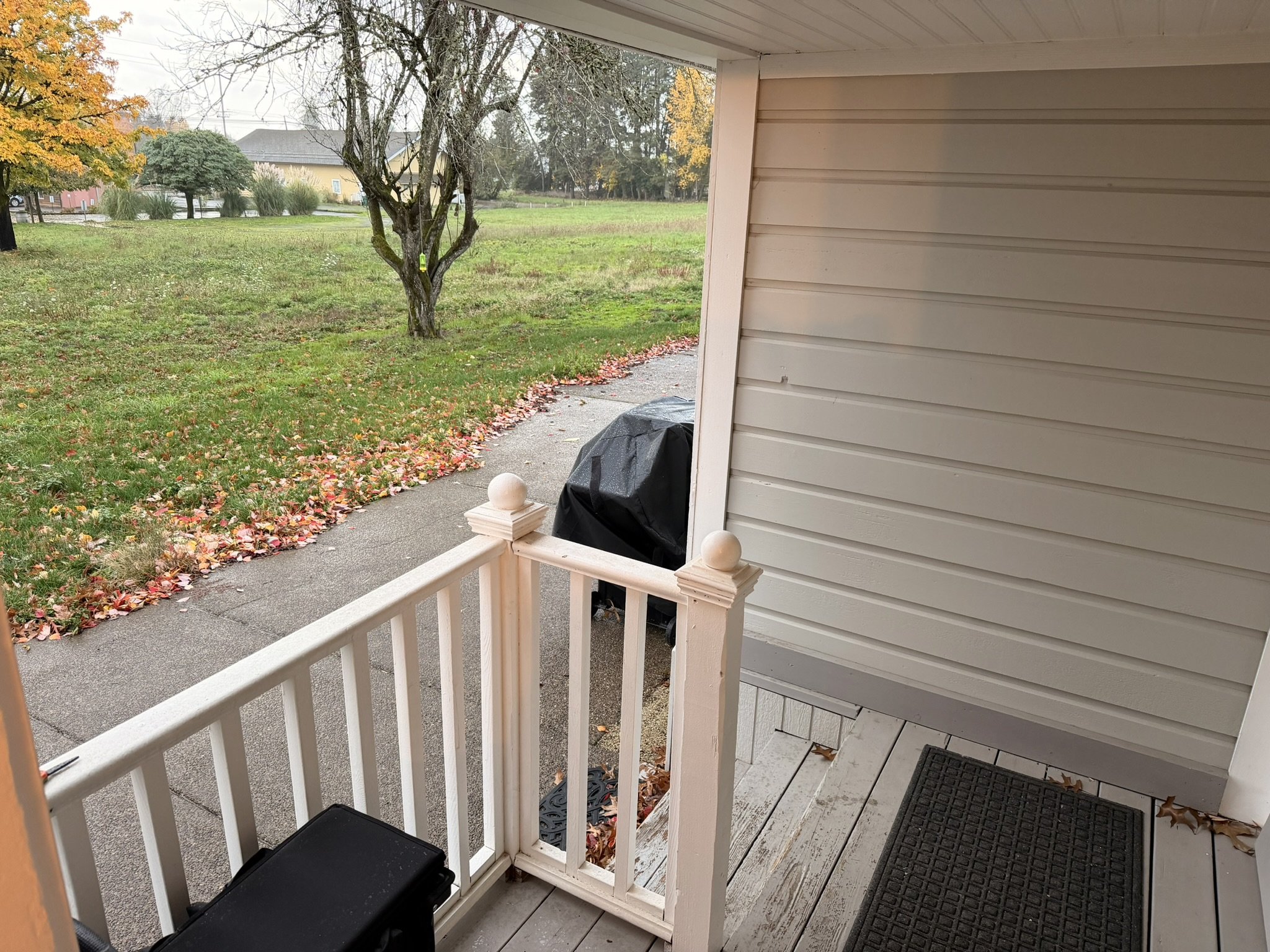 BBQ grill outside the back kitchen door