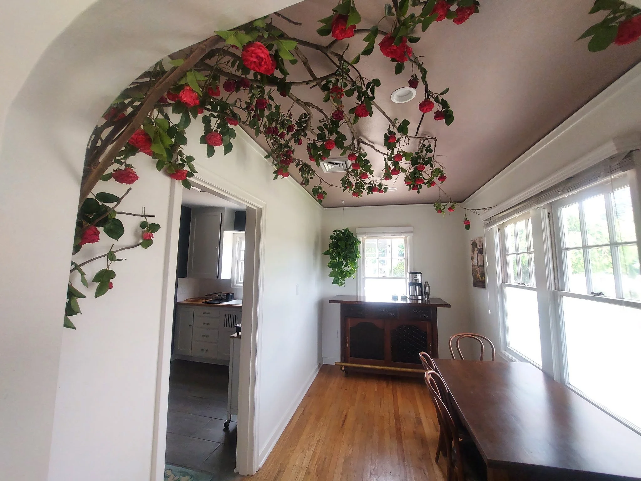 nook roses 3.JPG