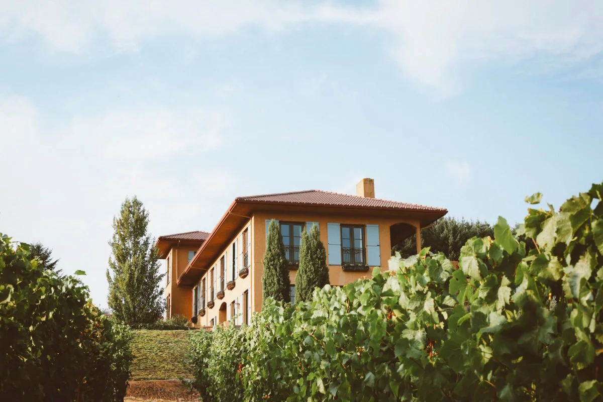 A house on a hill with a grape vineyard in front, trees, and a blue sky with clouds.