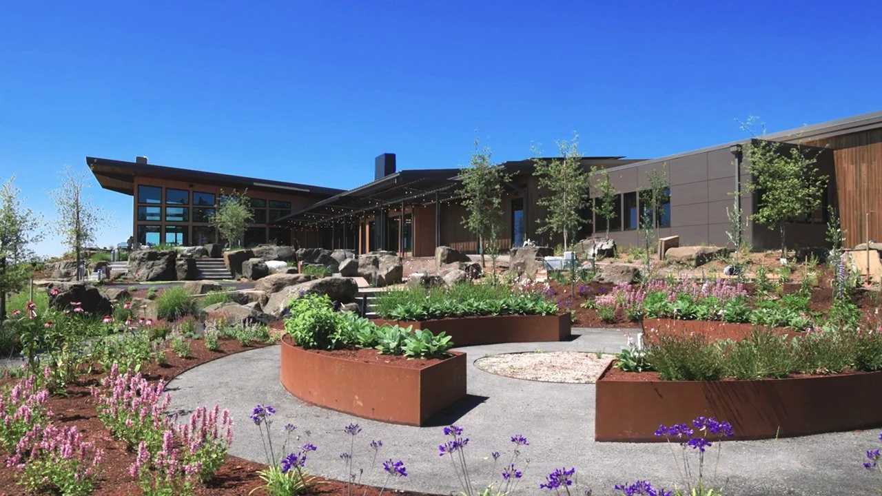 Modern building with large windows, surrounded by landscaped garden with trees, flowering plants, and rock formations under a clear blue sky.