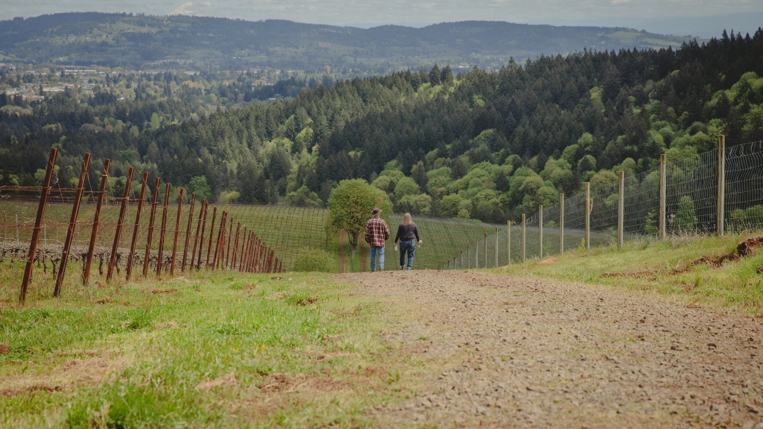 A gravel farm road with two people walking away, surrounded by green fields, vineyards on the left, fencing on both sides, and a tree in the background, with forested hills and mountains in the distance.