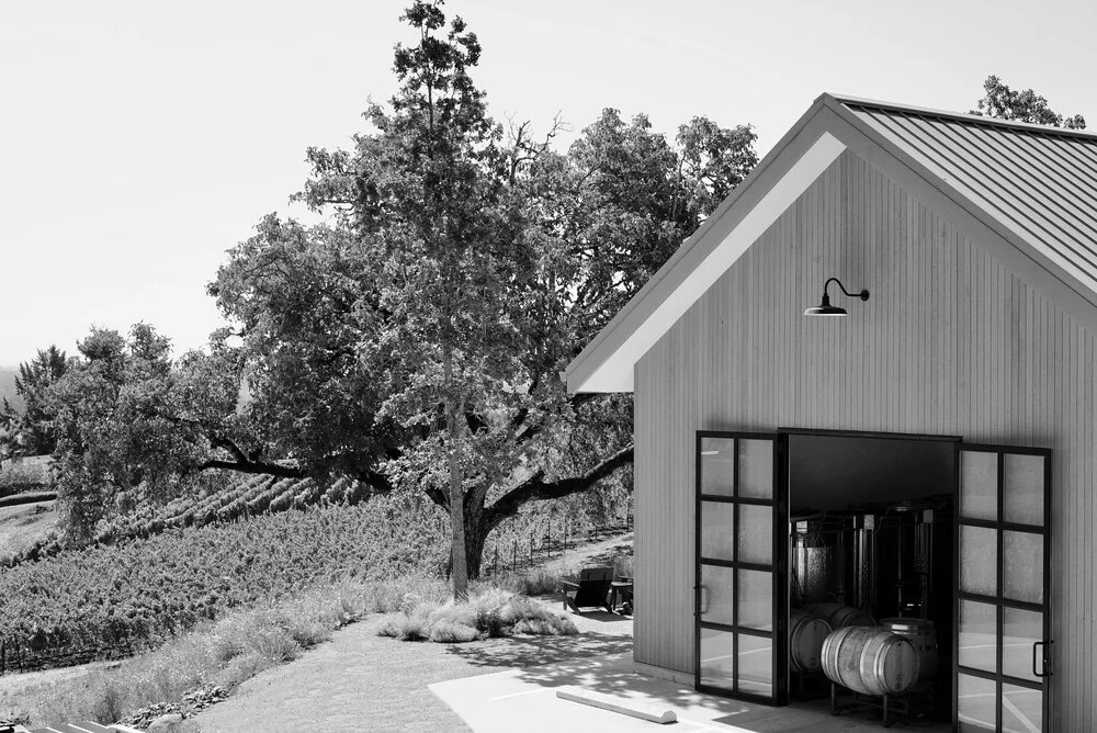 Black and white photo of a modern building with open garage doors, a large tree nearby, and surrounding landscape with plants and trees.