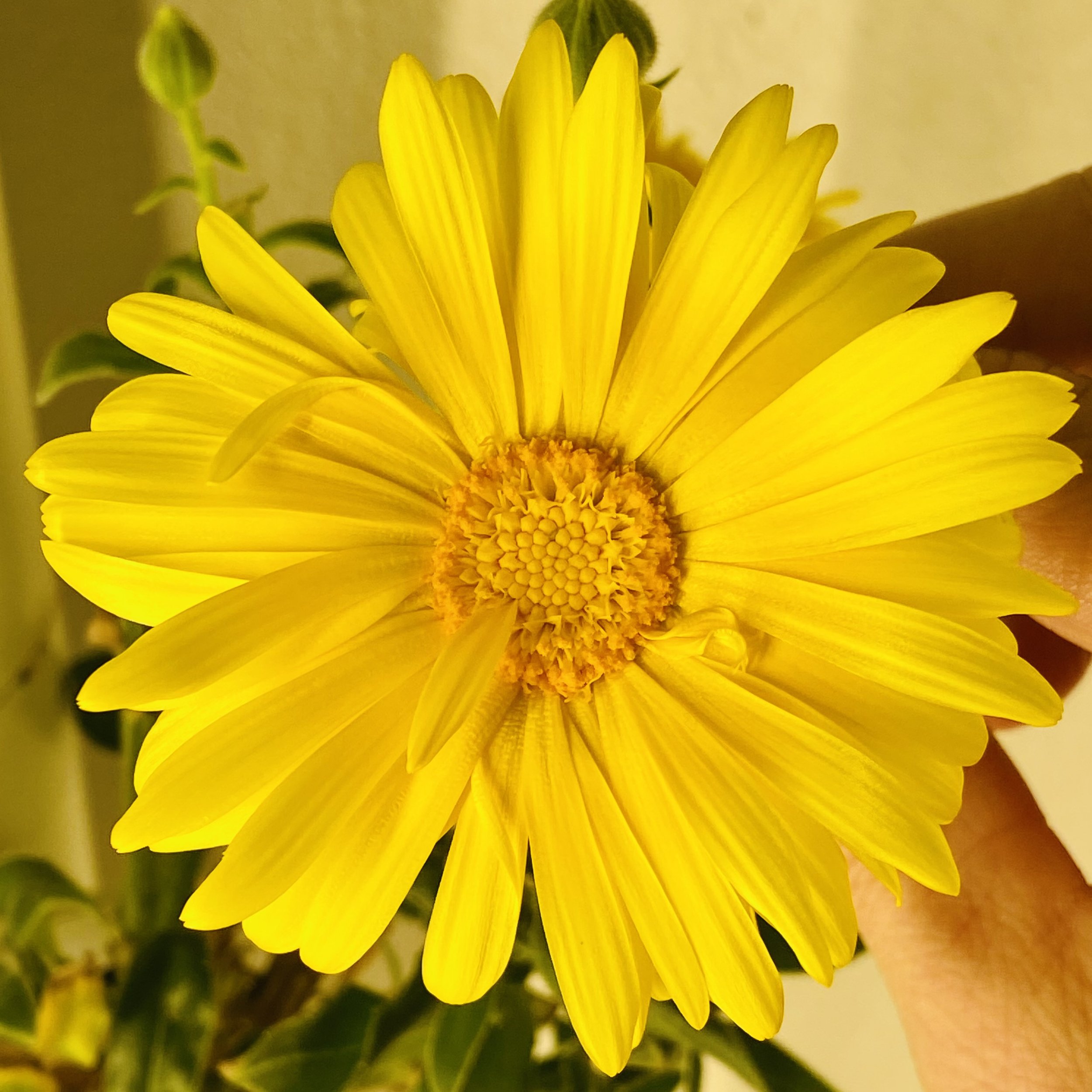 IMG_5065.jpeg