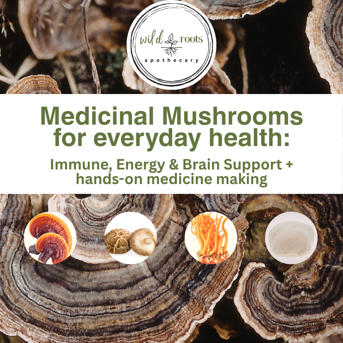 mm workshop (1200 x 1200 px).png