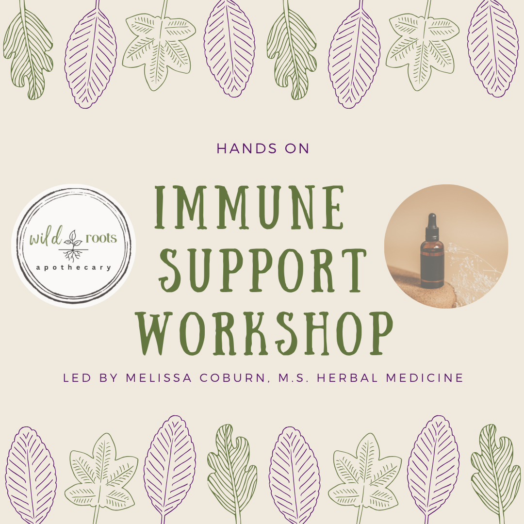 Build Your Fall Herbal Toolkit: Hands-on Herbal Medicine Making for Immune Support