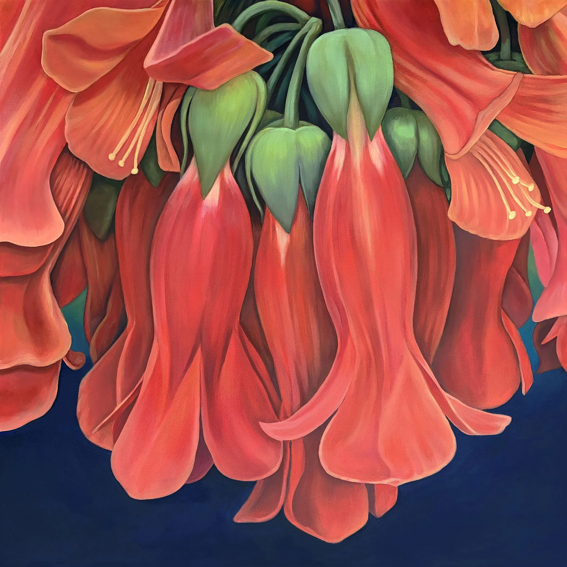 An Occasion to Bloom
