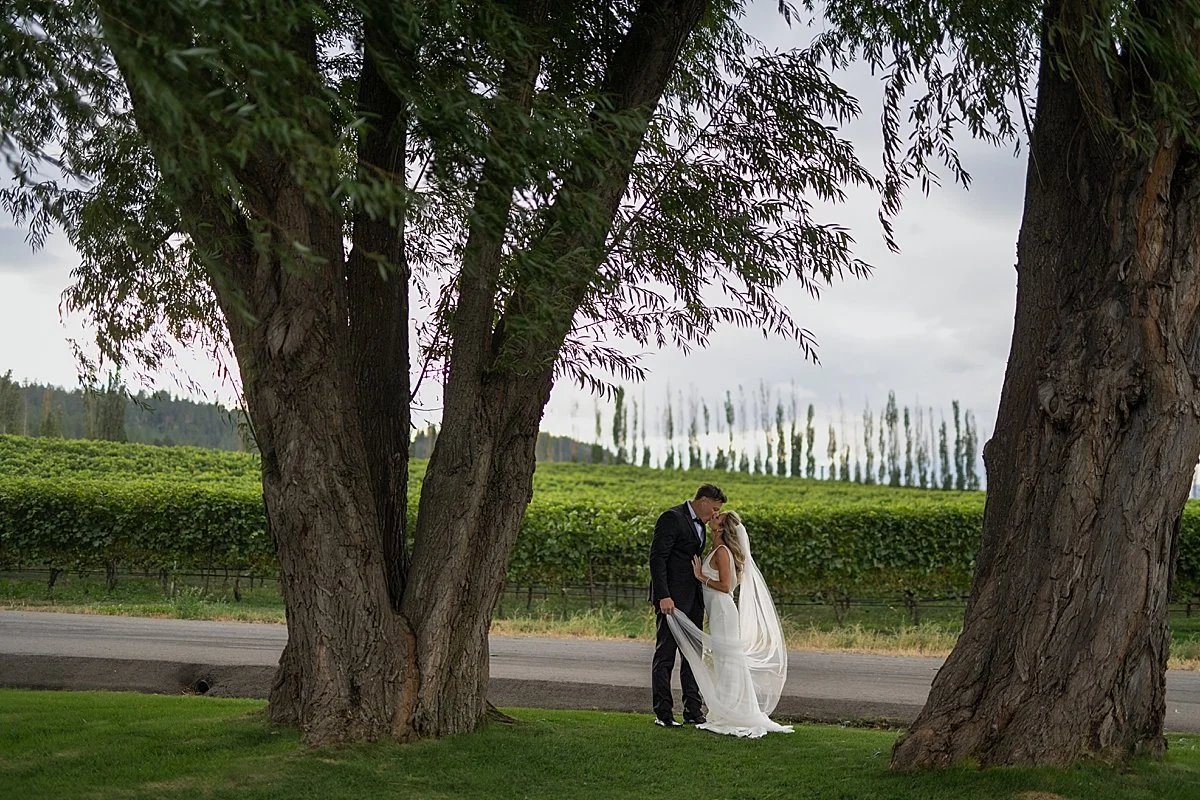 bride and groom between two trees in front of the vineyard at Monte Creek Winery