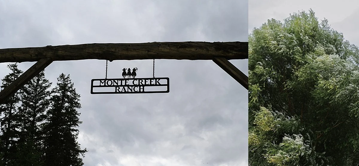Monte Creek Winery Entrance sign