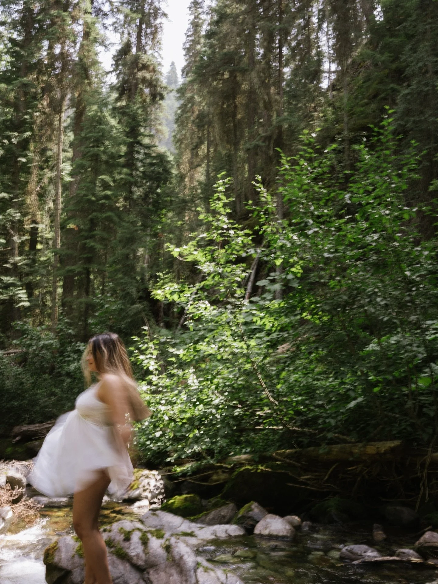 Tomorrow is your last chance to express how you would step fully into your element.

The fire that burns in your chest, refusing to be dimmed.
The water that bends, rises, and carries you forward.
The earth that anchors you, steady and unshakable.
Th