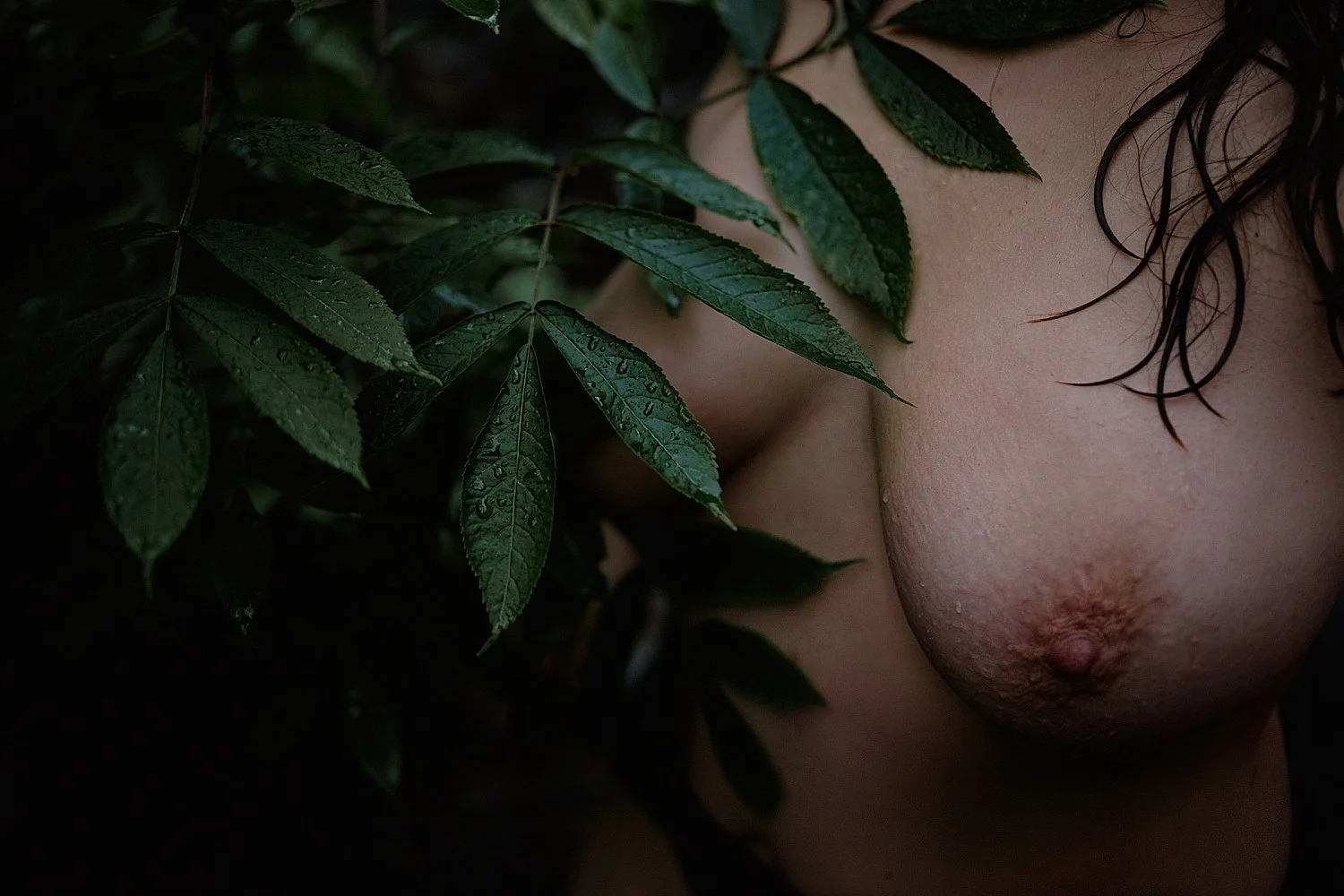 outdoor boudoir photographer forest