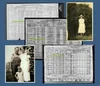 Census Tree