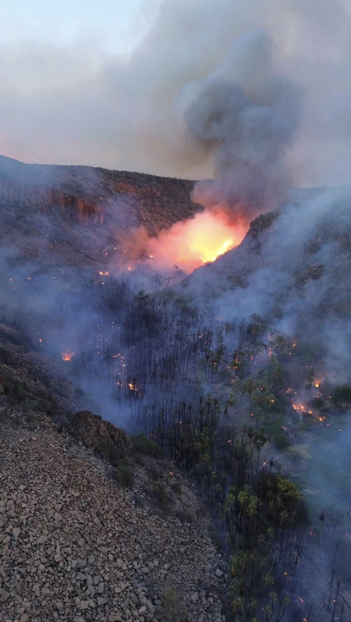 Standing together: The San José de Comondú wildfire