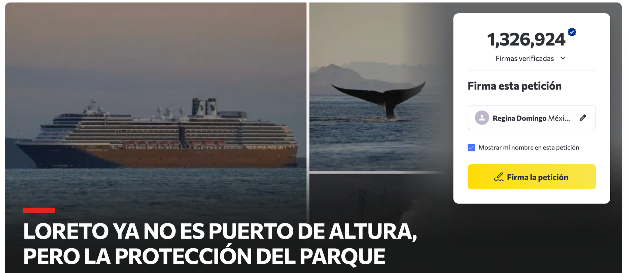 LORETO UPDATE: NO CRUISE SHIPS SO FAR BUT WE ARE STILL WAITING FOR ANSWERS