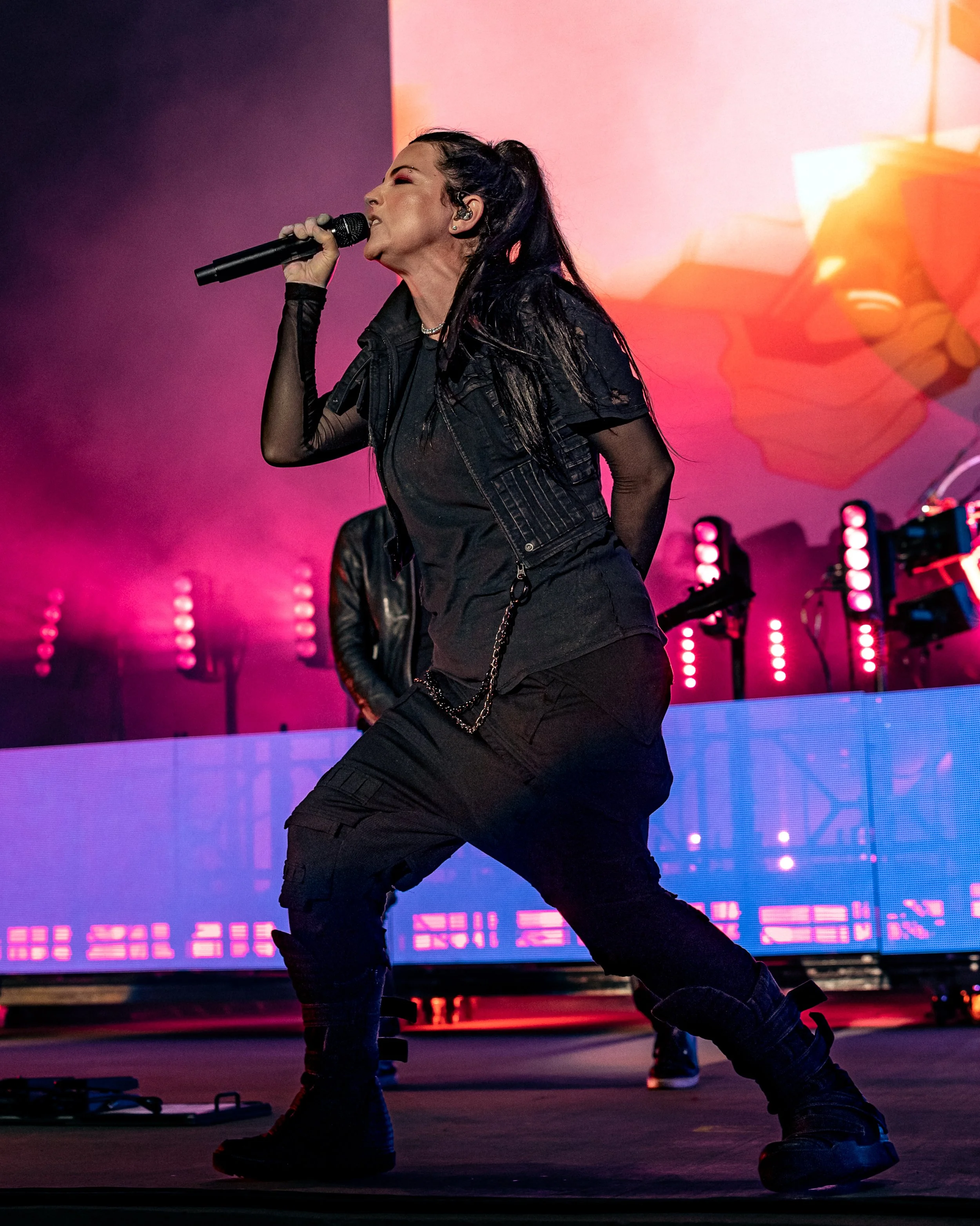 Evanescence (9 of 58).jpg