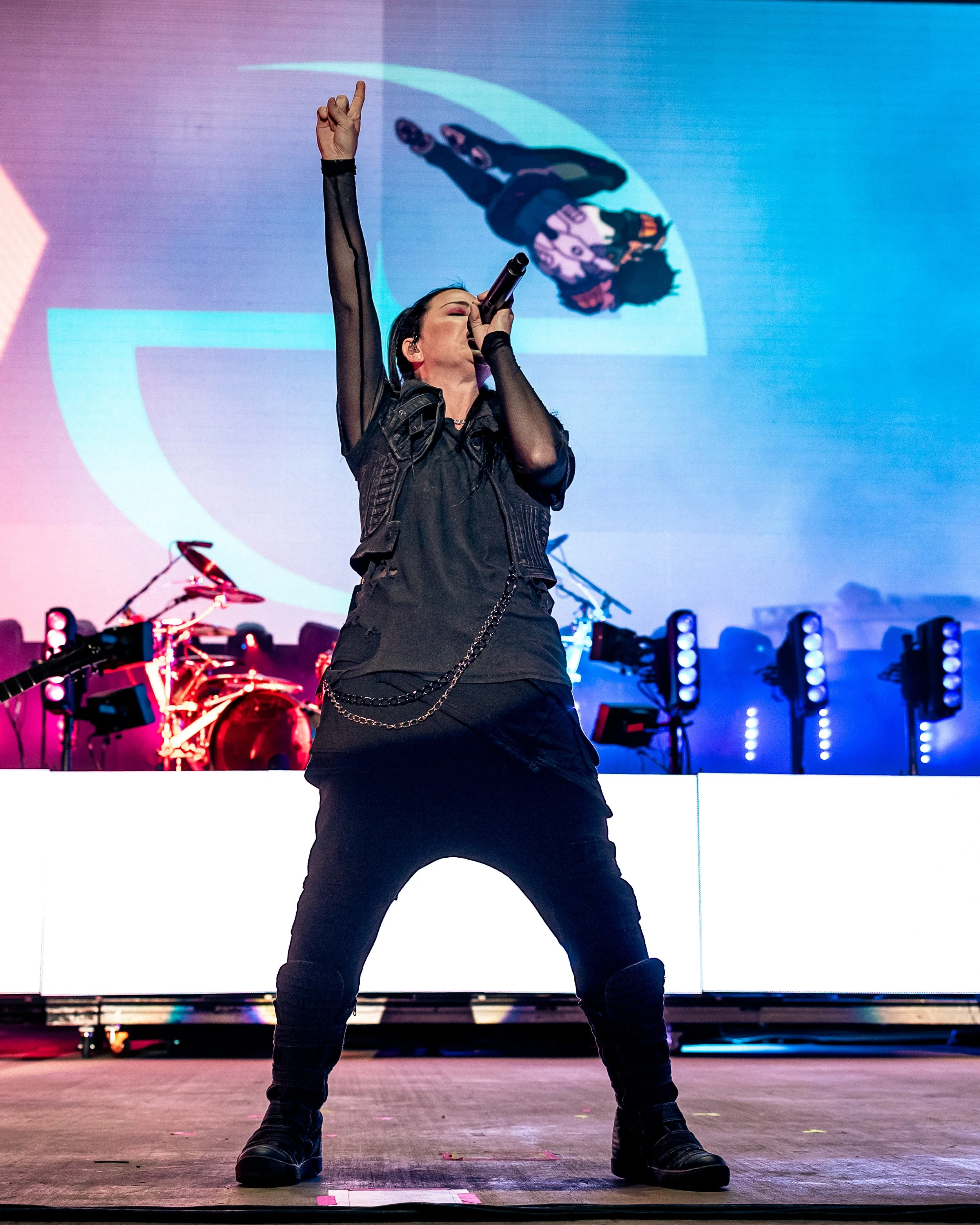 Evanescence (10 of 58).jpg