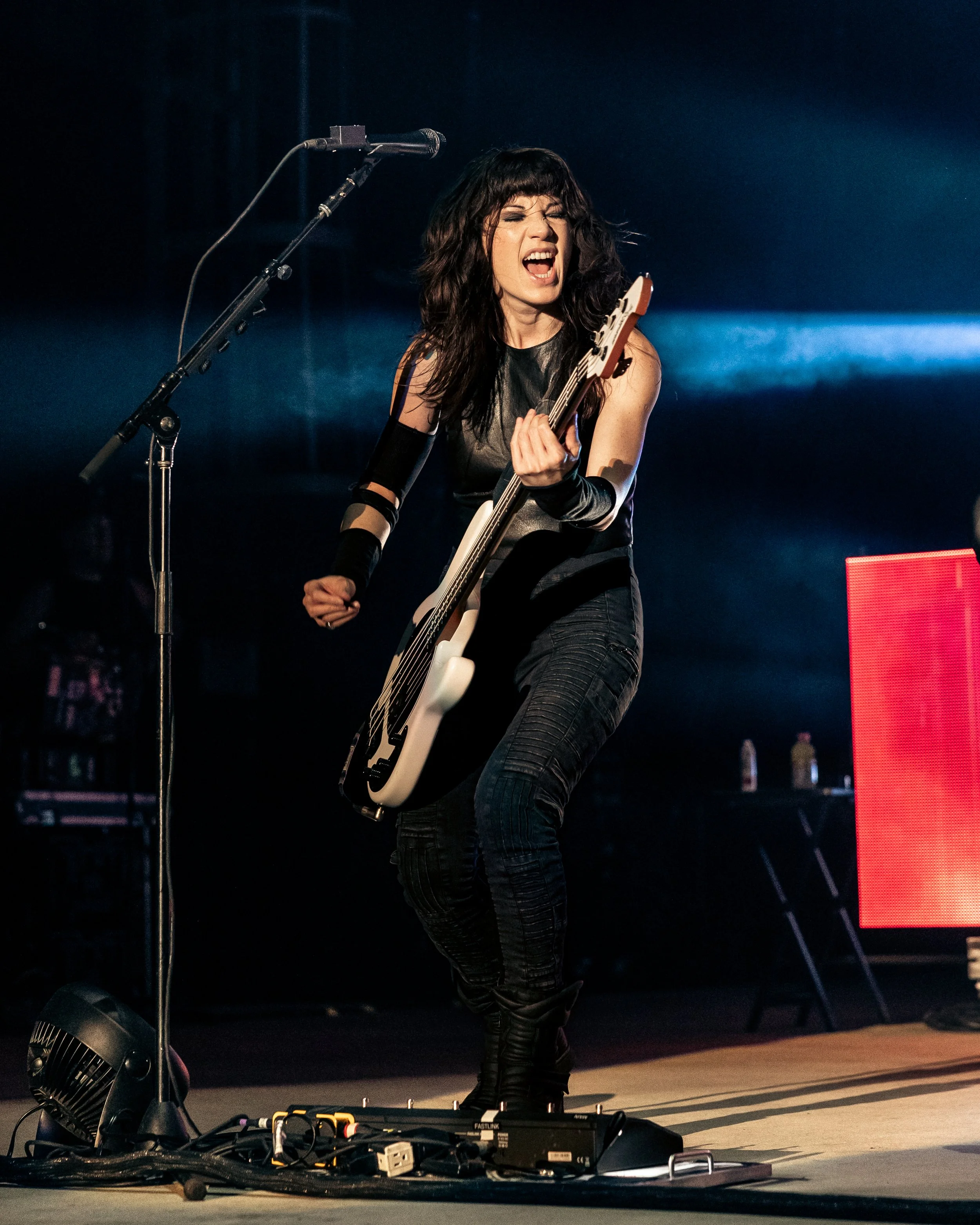 Evanescence (42 of 58).jpg