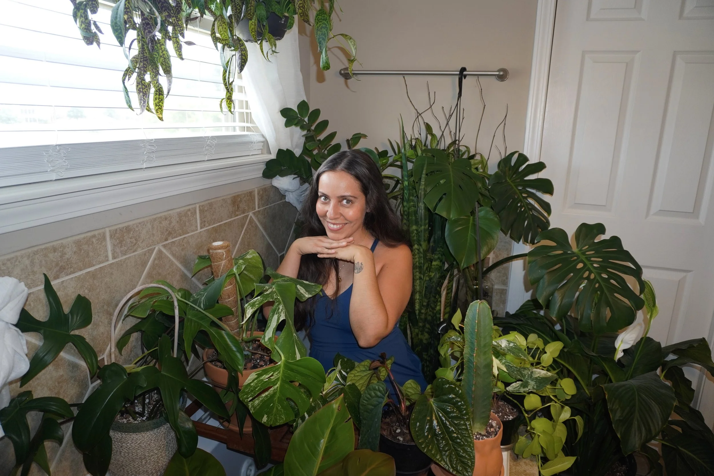 About plants with krystal