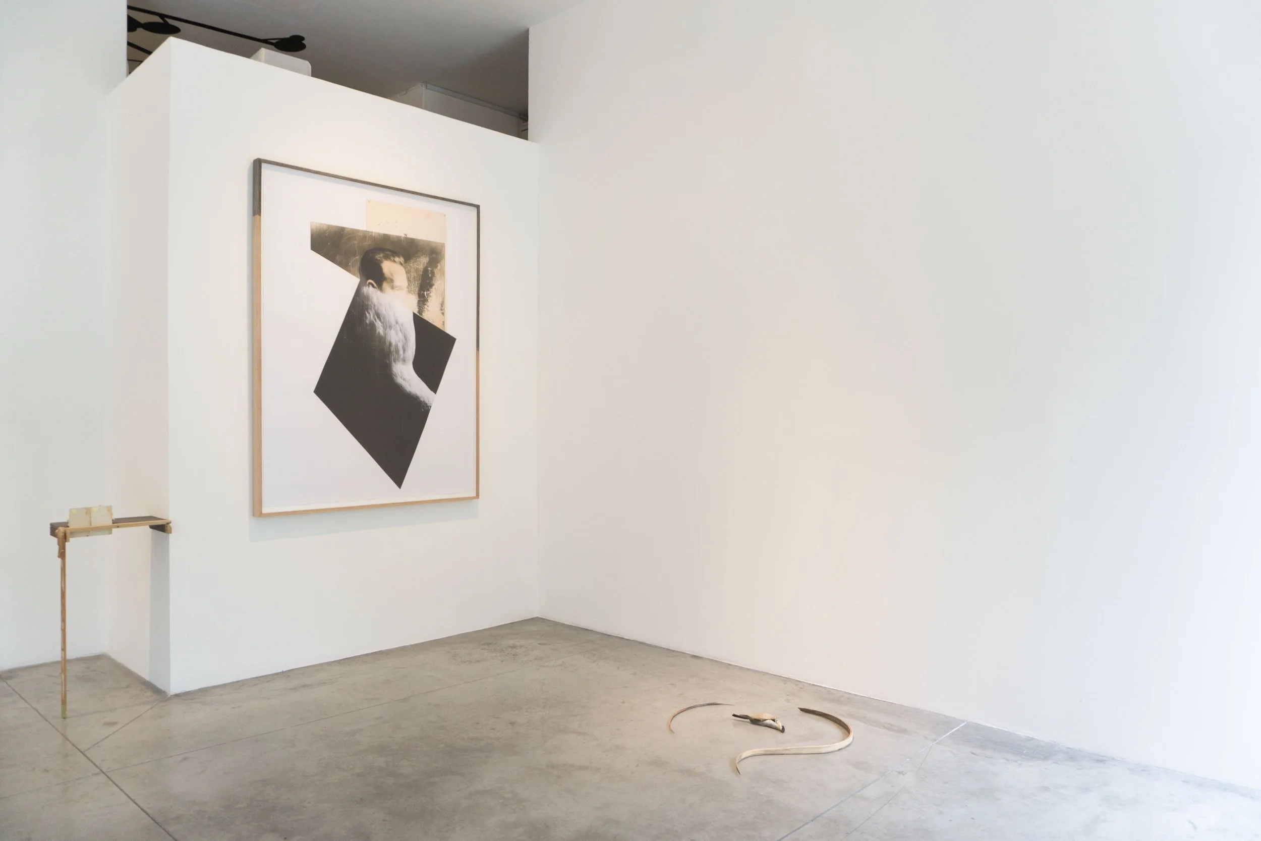 Registro Expo Syllables 7 Arroniz 2016.jpeg