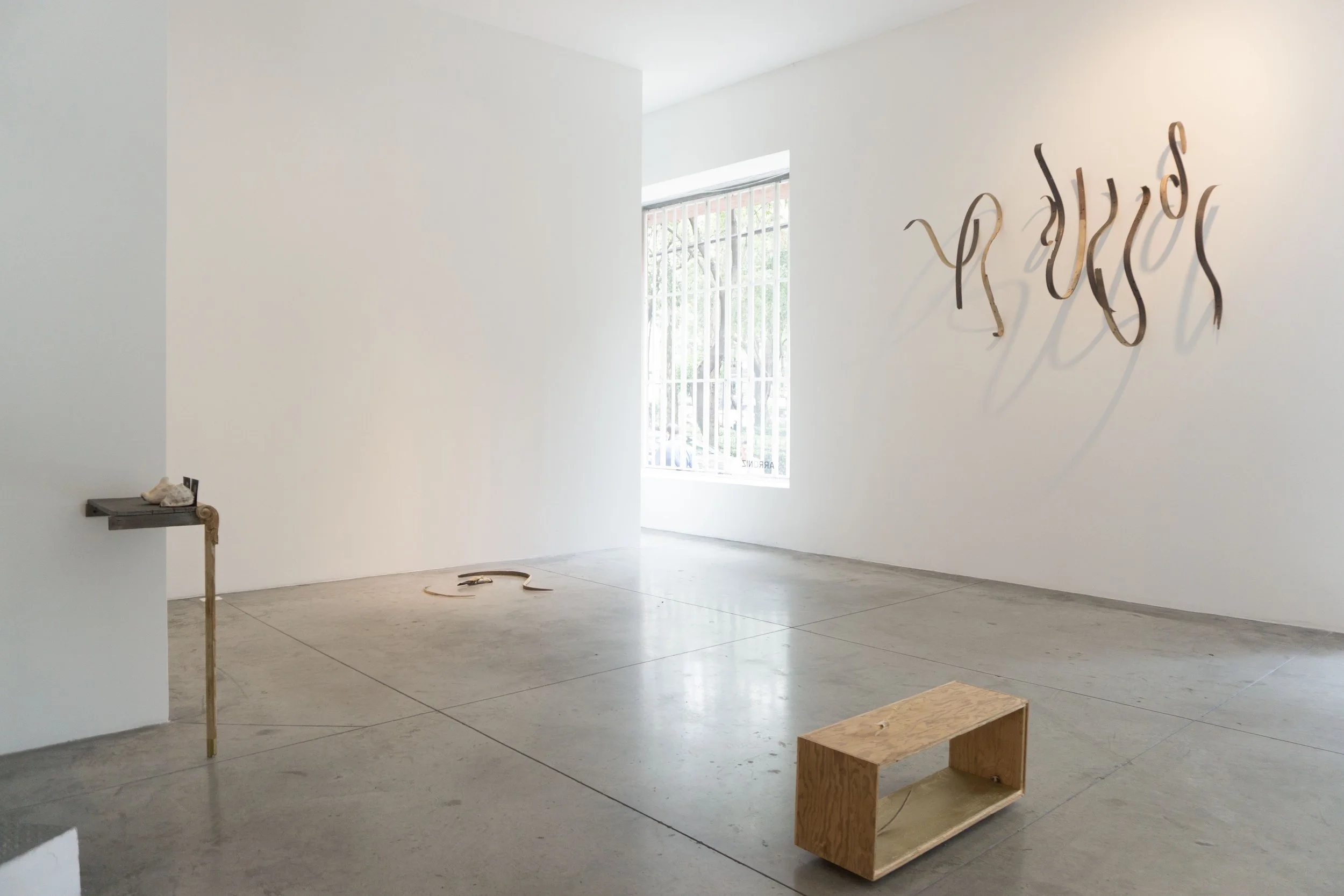 Registro Expo Syllables 5 Arroniz 2016.jpeg