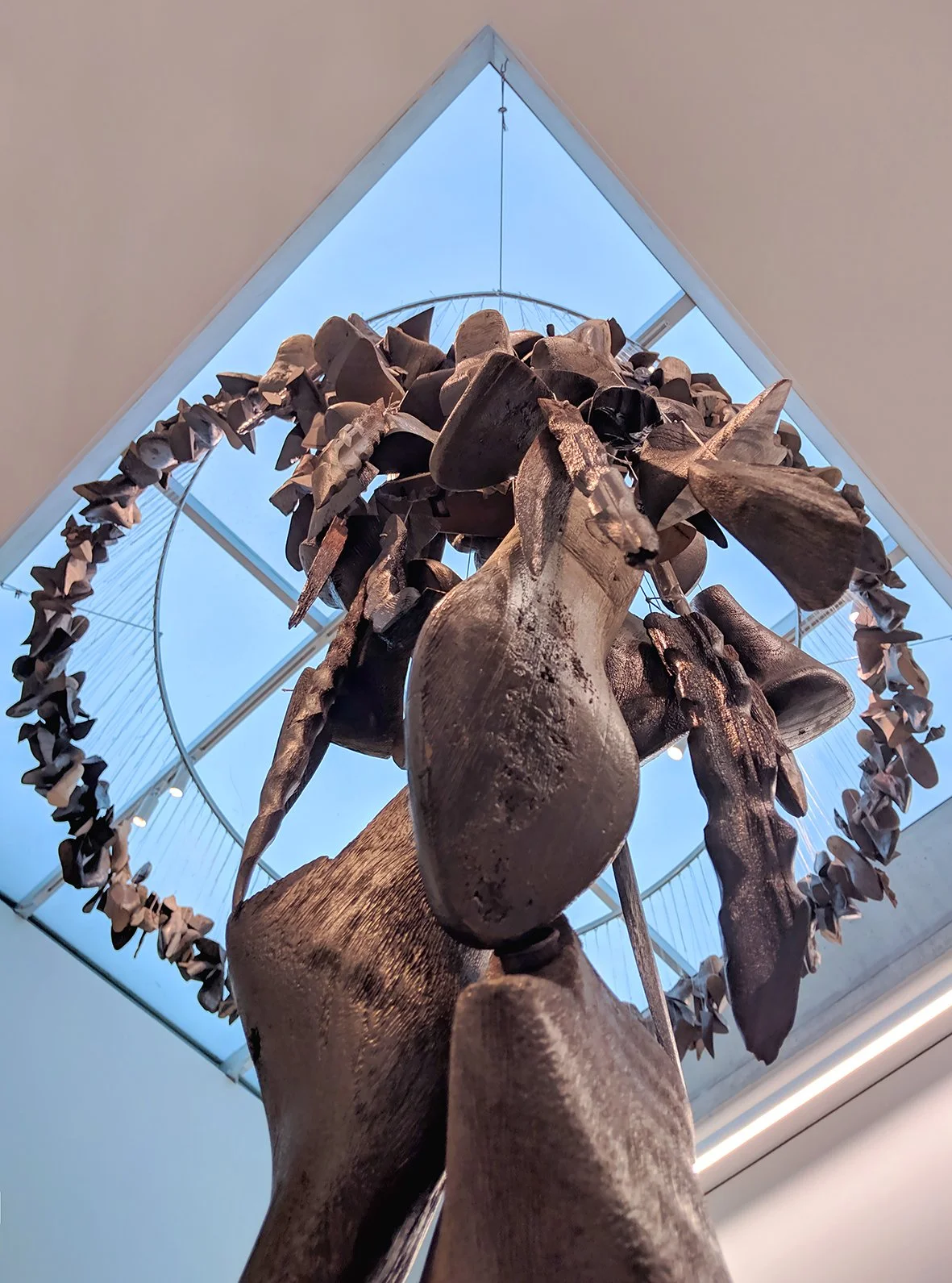 CORONA RADIATA detail 4 web.jpg