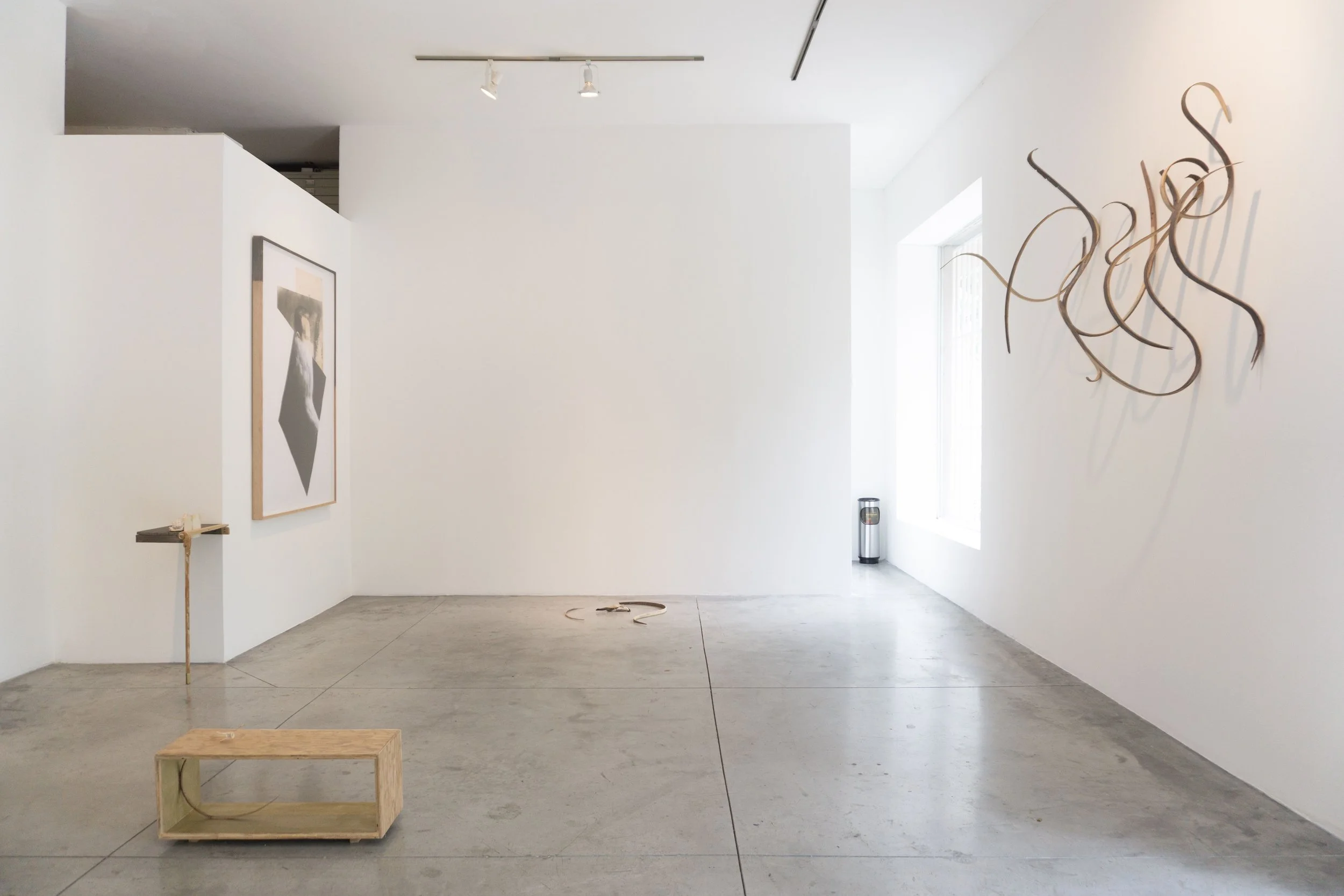 Registro Expo Syllables 4 Arroniz 2016.jpeg