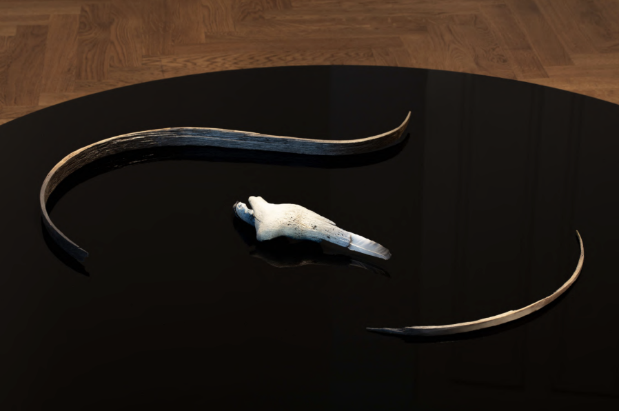 Captura de pantalla 2026-02-27 a la(s) 2.02.54 p.m..png