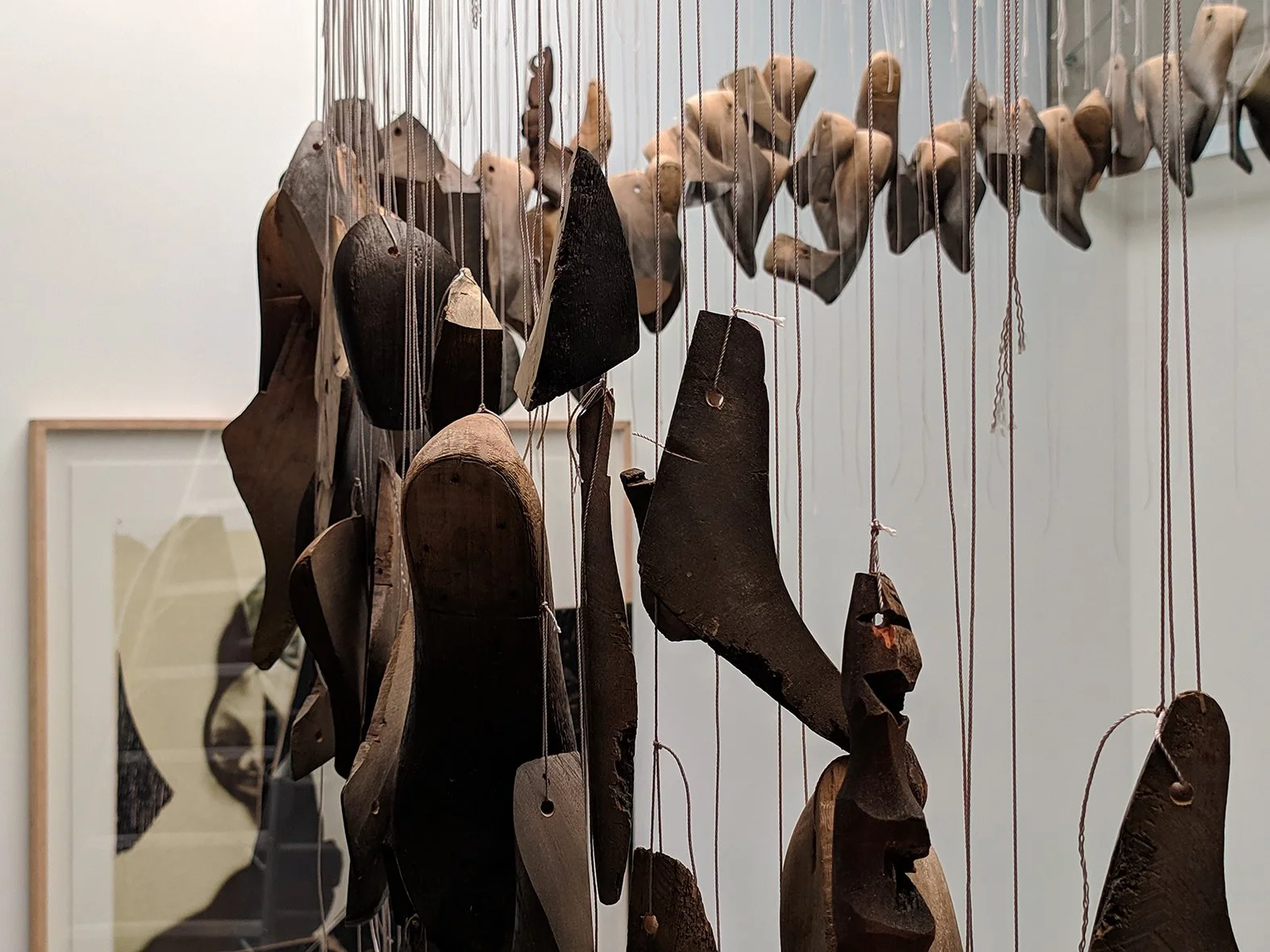 CORONA RADIATA detail 5 web.jpg