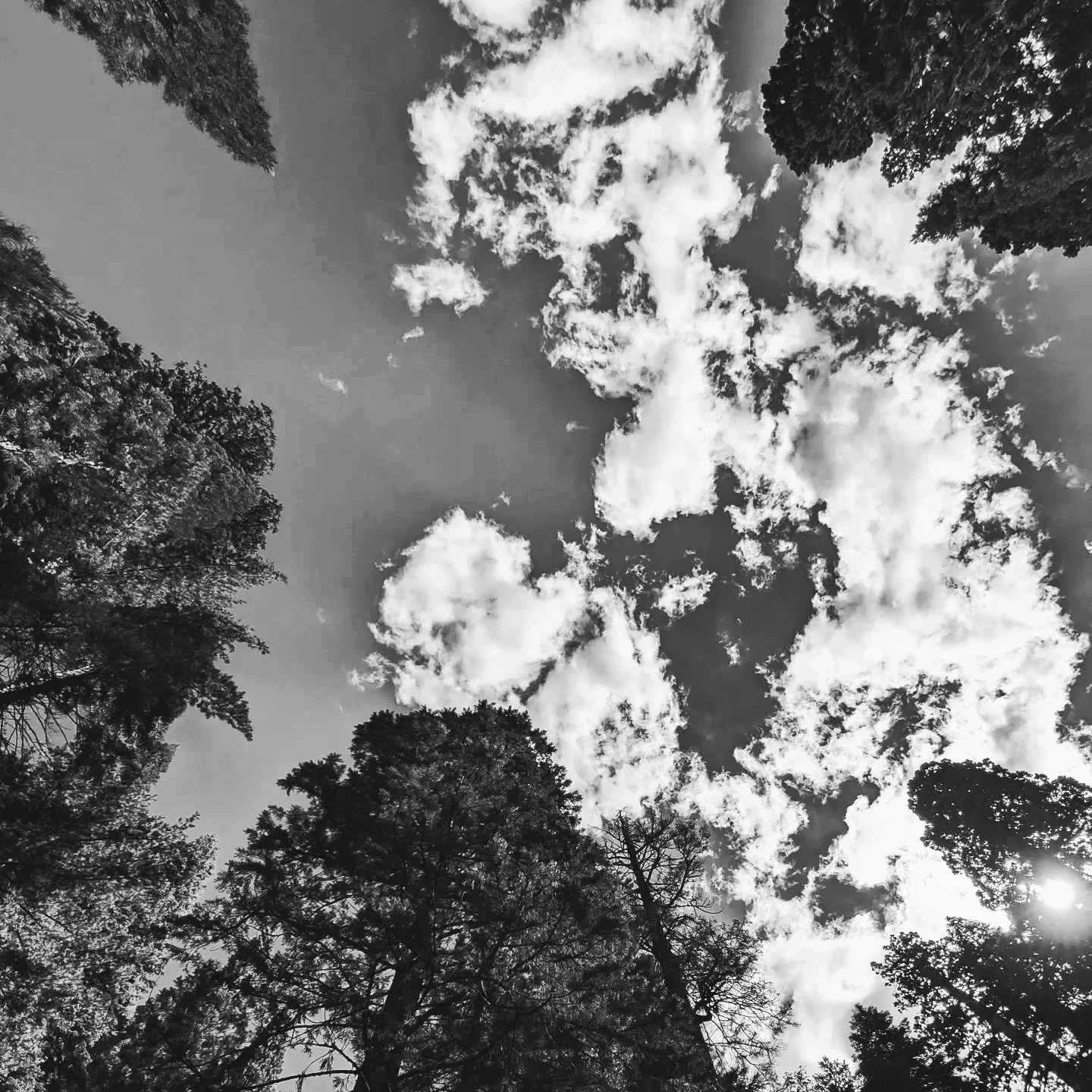 Self-Care is a Practice, Not a Panic button ✅ 

Too often, we treat self-care like an emergency service. We wait until we're overwhelmed, in pain, or completely burnt out before we finally decide to take care of ourselves. But true well-being isn't b