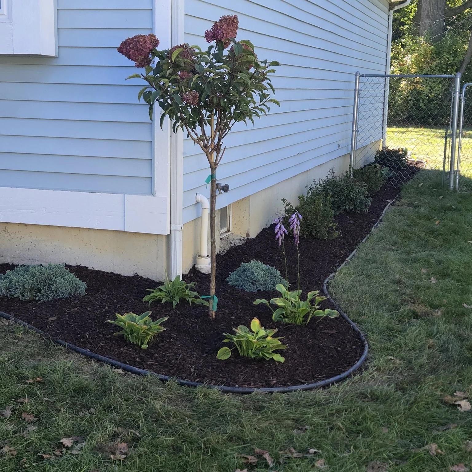 landscaping.jpg