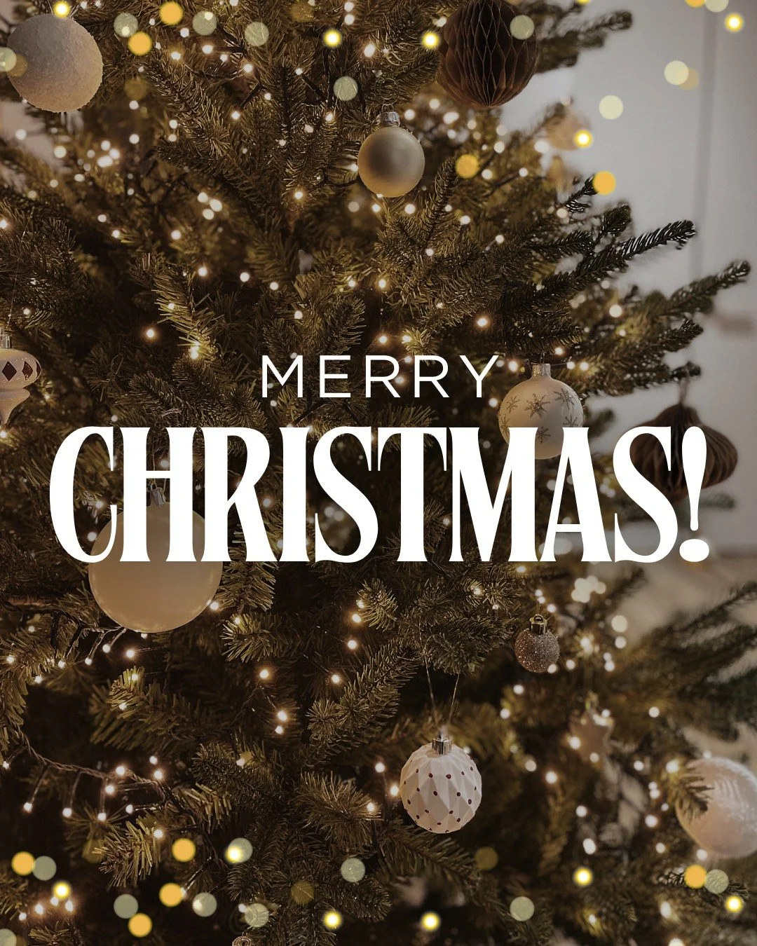 Merry Christmas!! 🎁🎄