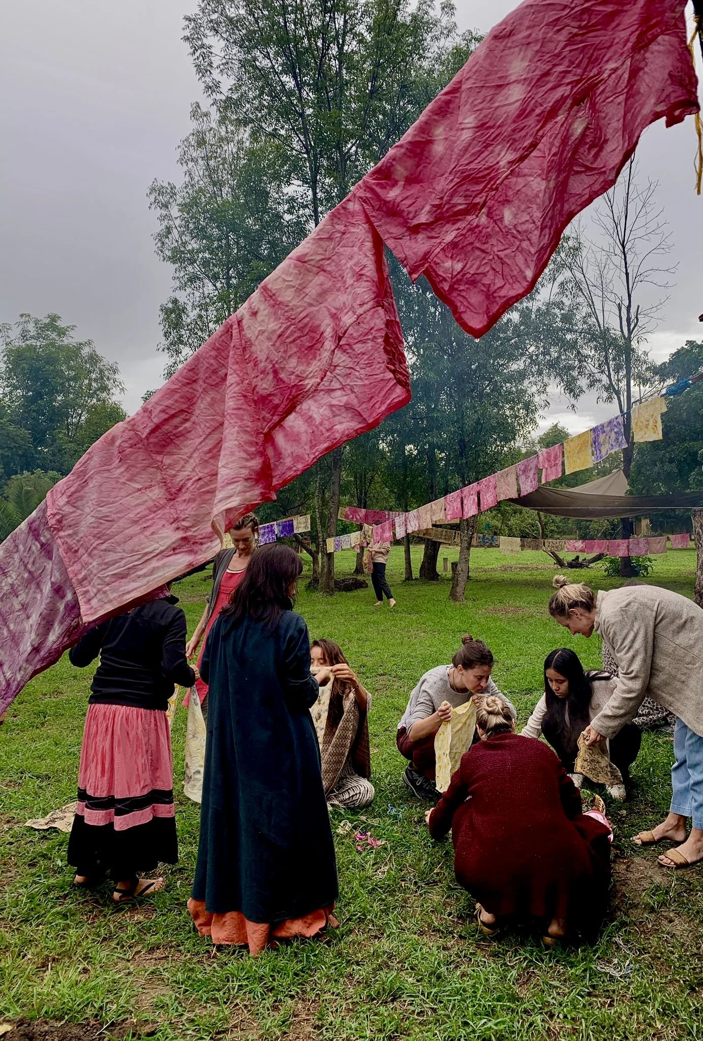 Natural Dyes Workshop