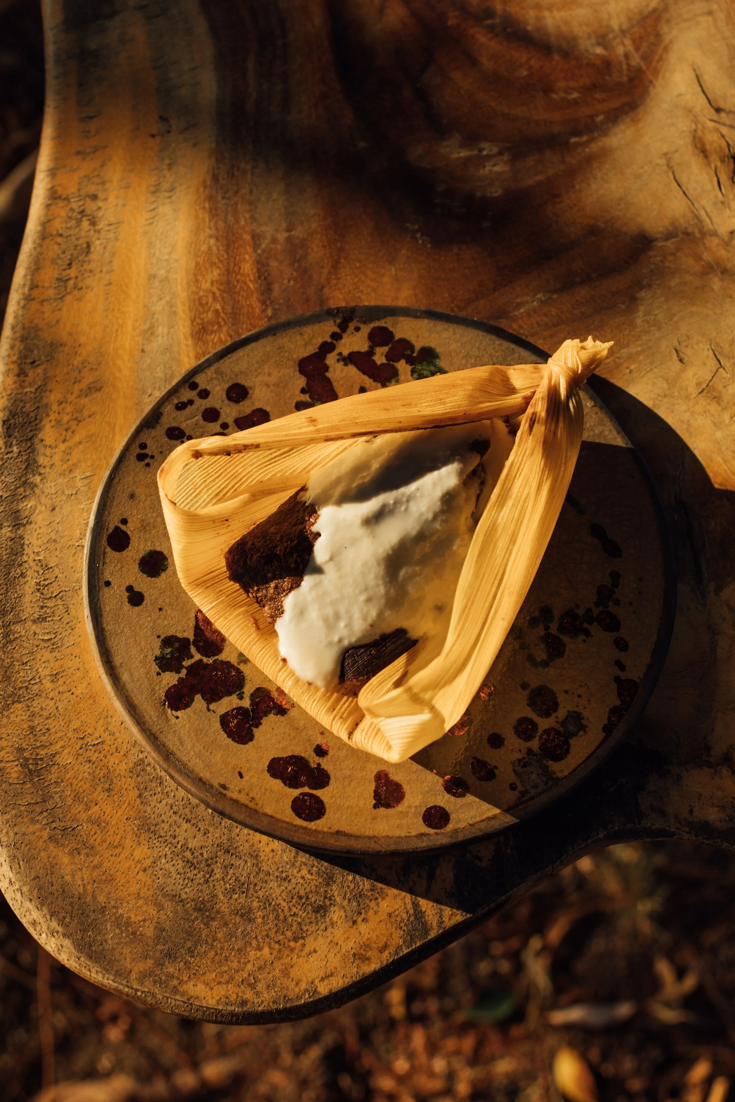 Wild Terrains_Oaxaca_Agua_Miel-103.jpg