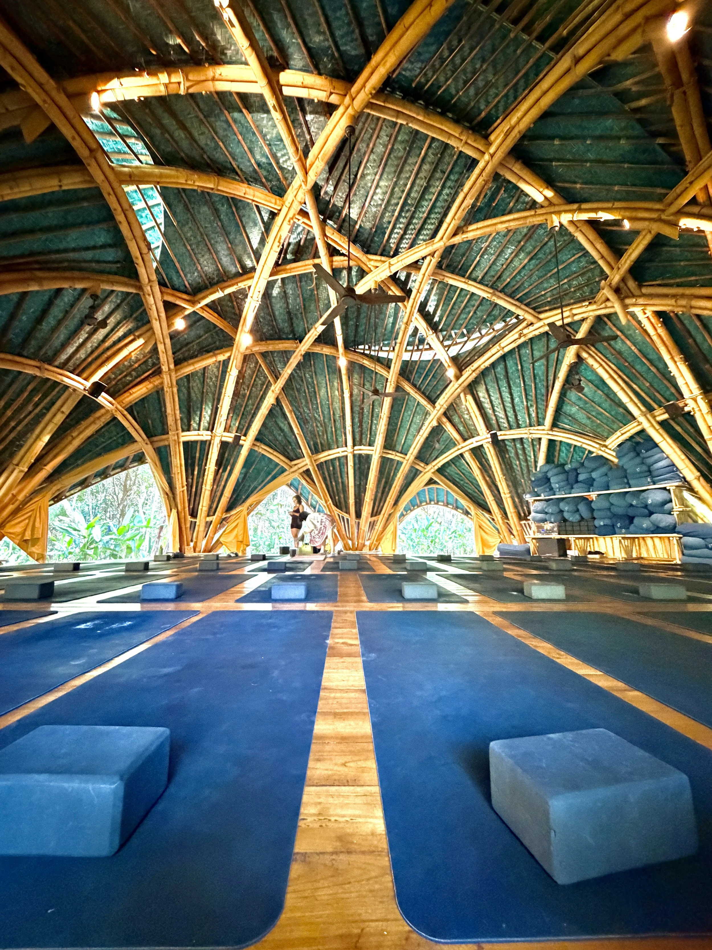 The Holy Yoga Revival