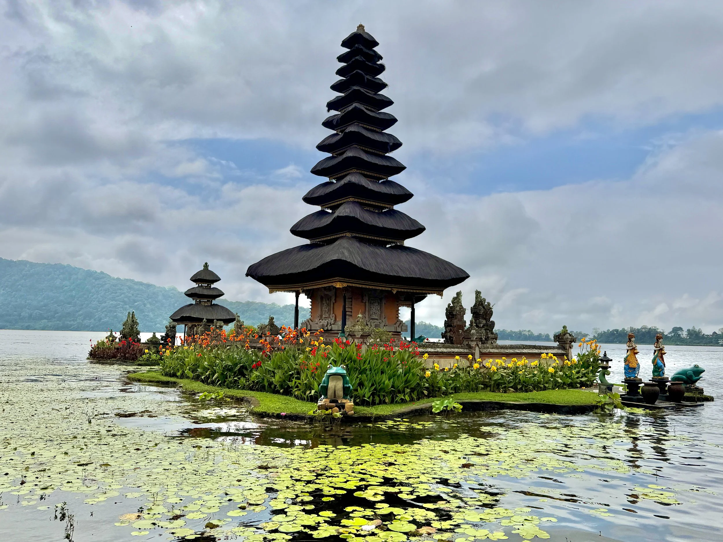 Bali High?