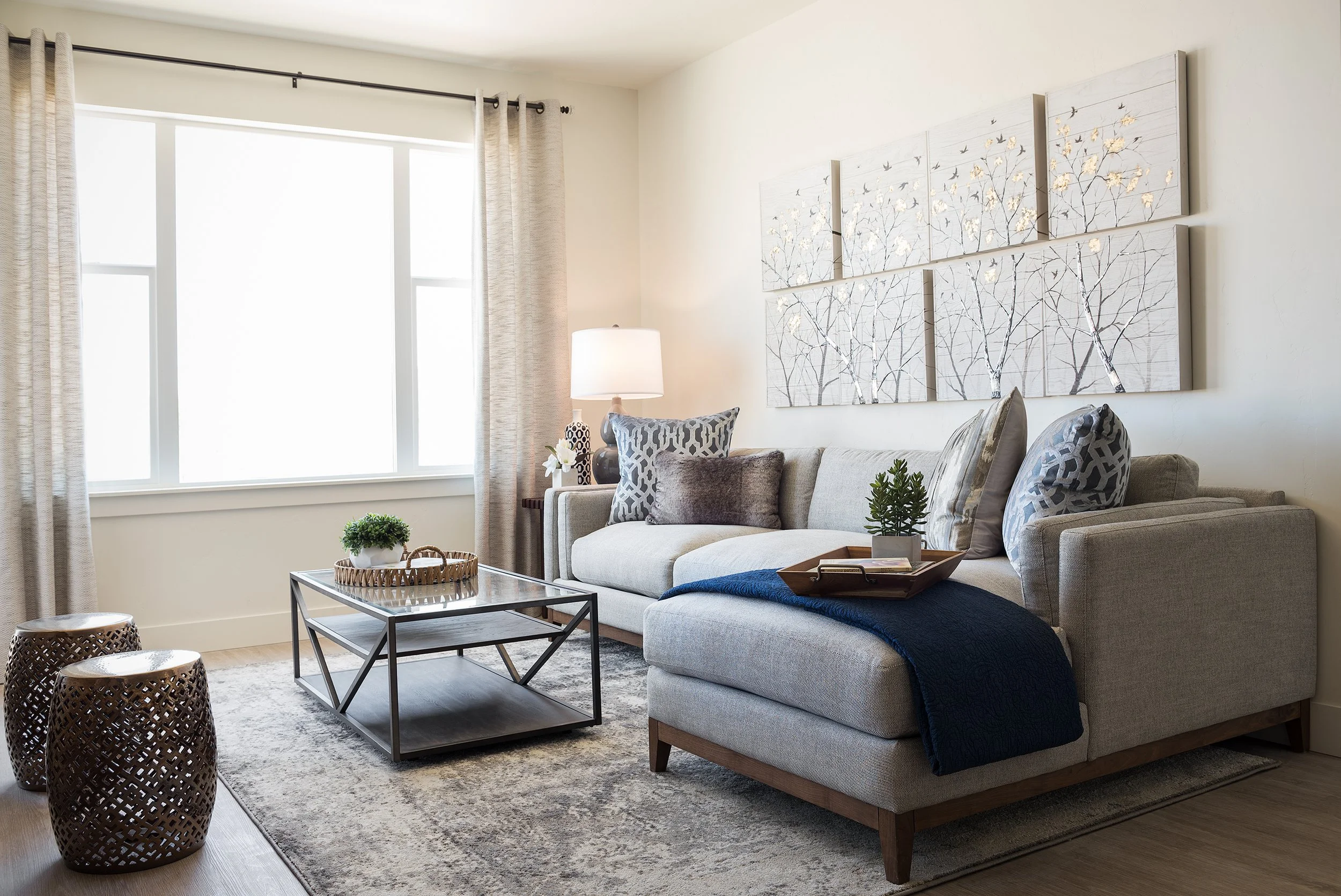Multifamily-Interior_Design-Boise-Idaho-Living_Room-25.jpg