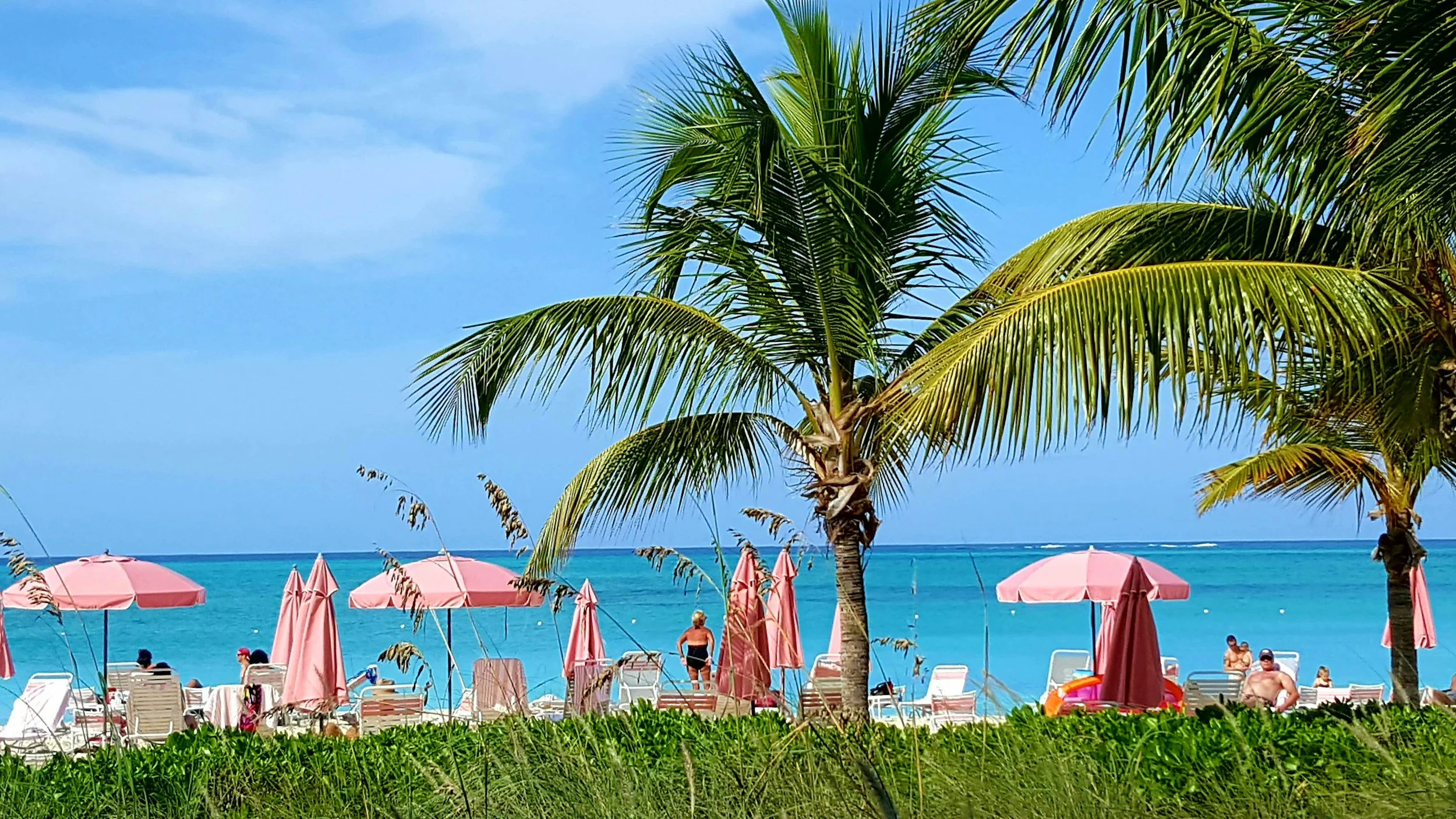 Palm trees on a beach with umbrellas and people enjoying the sunny day by the ocean.