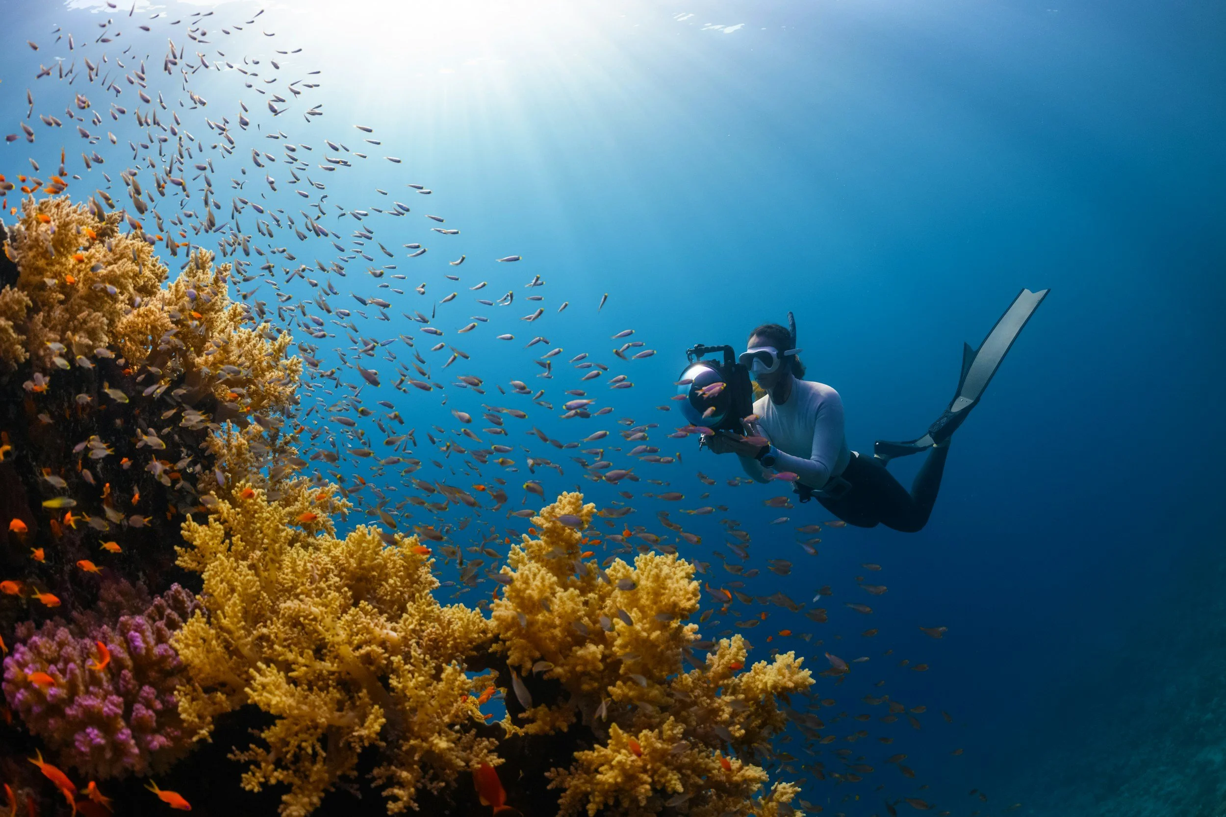 How to Take Stunning Underwater Photos
