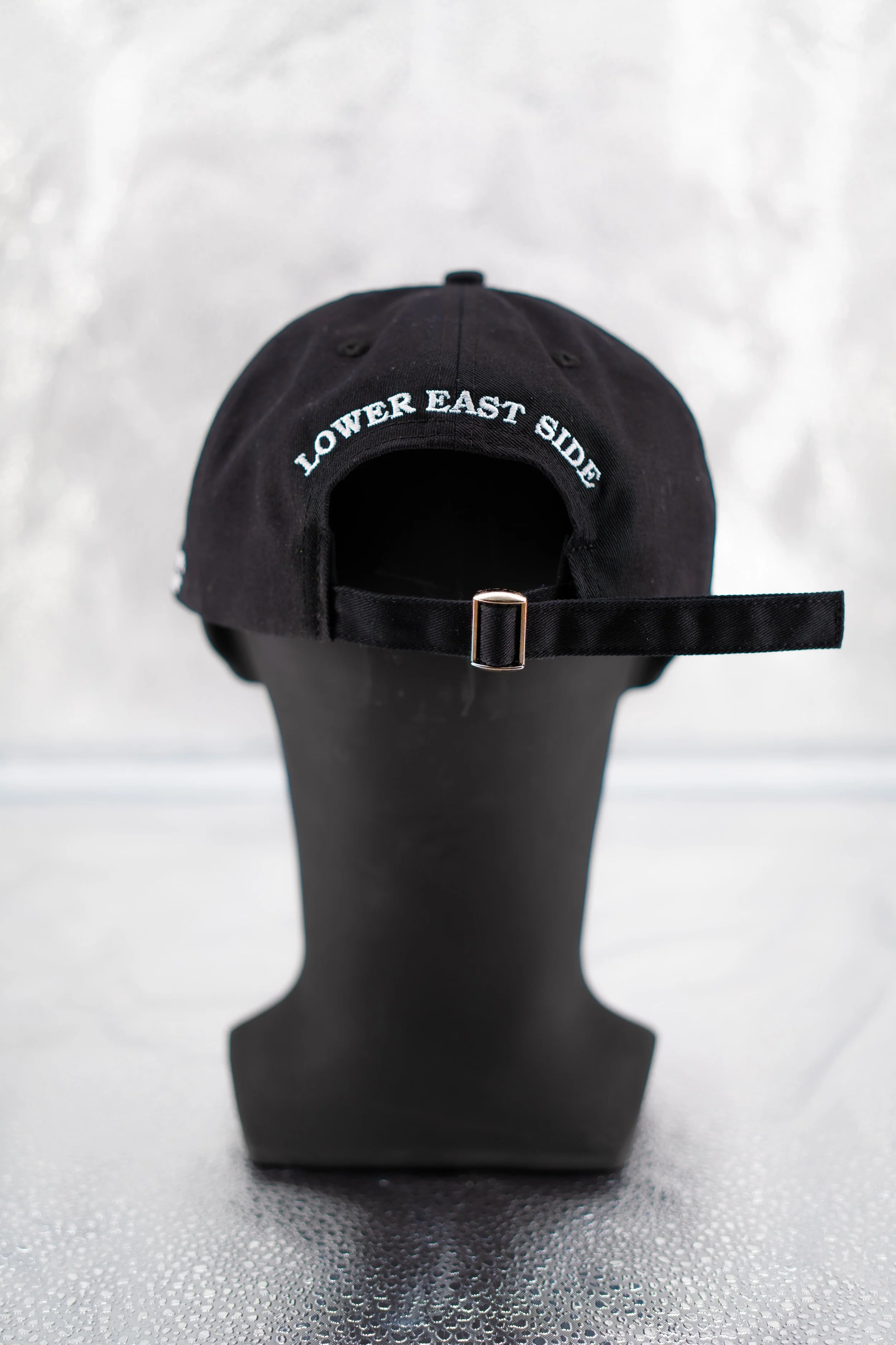 6 panel back photo.jpg