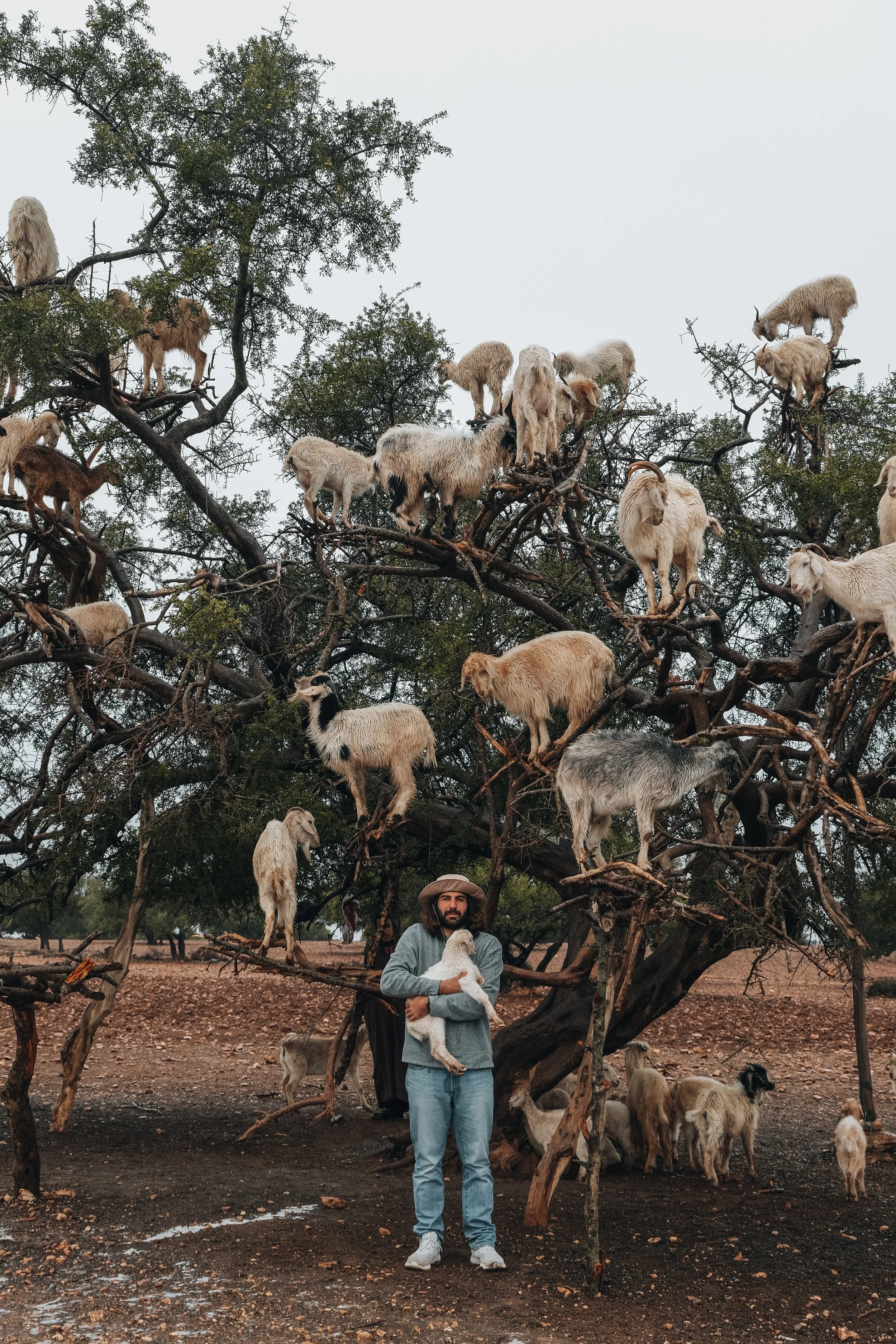 Abbonati per vivere esperienze da raccontare