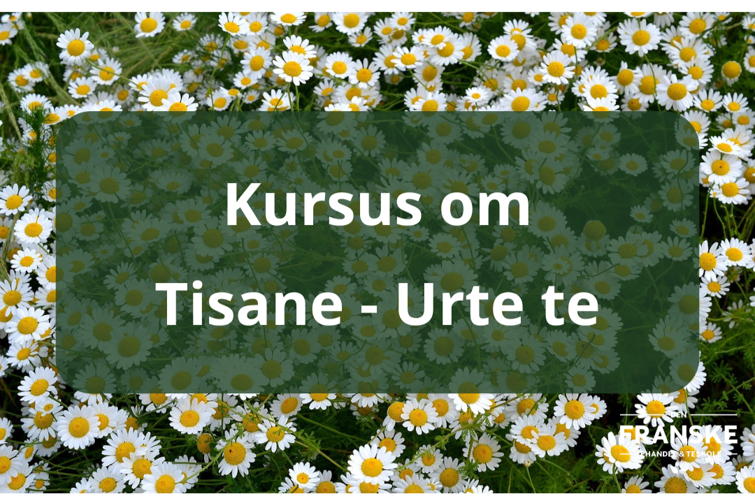 Et+foredrag+om+Urte+te-2.png