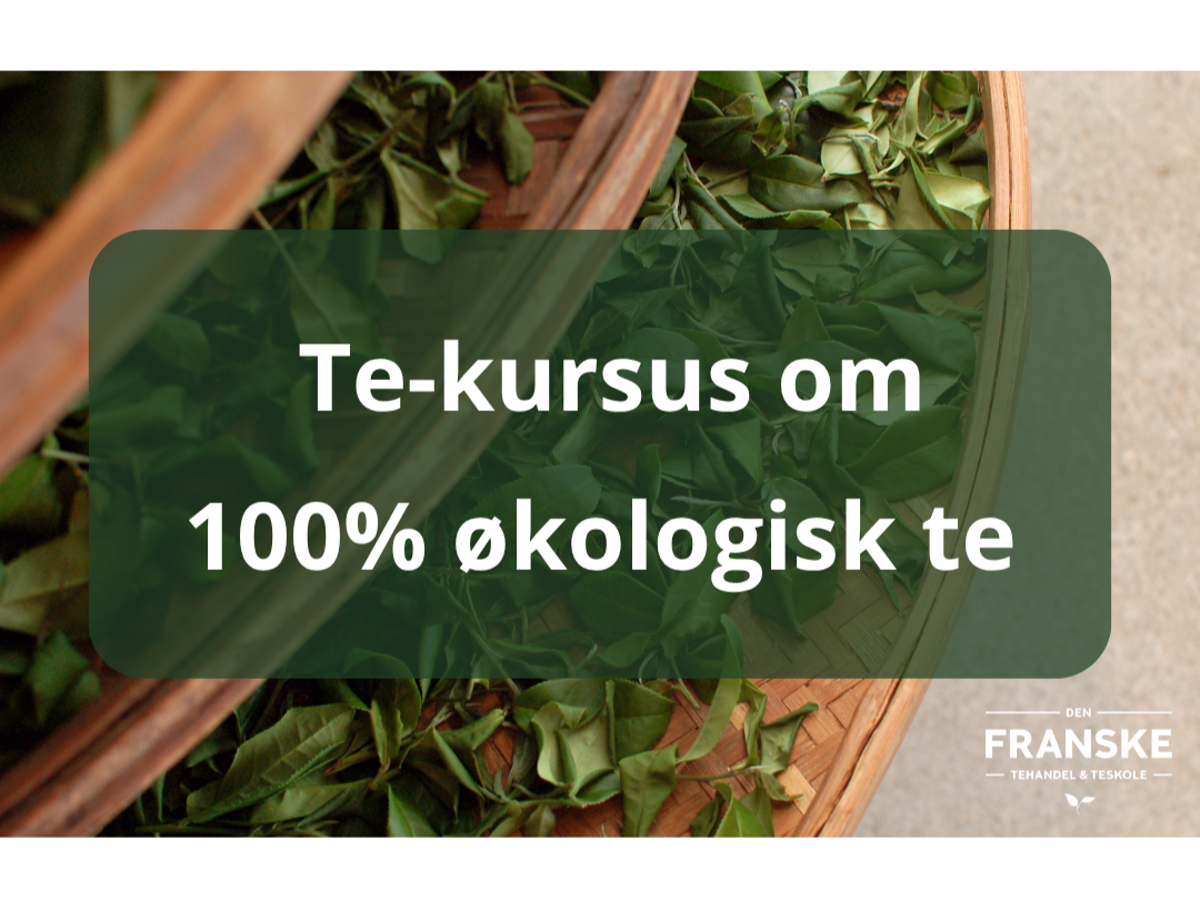Kursus+om+%C3%B8kologisk+te+NYESTE.png