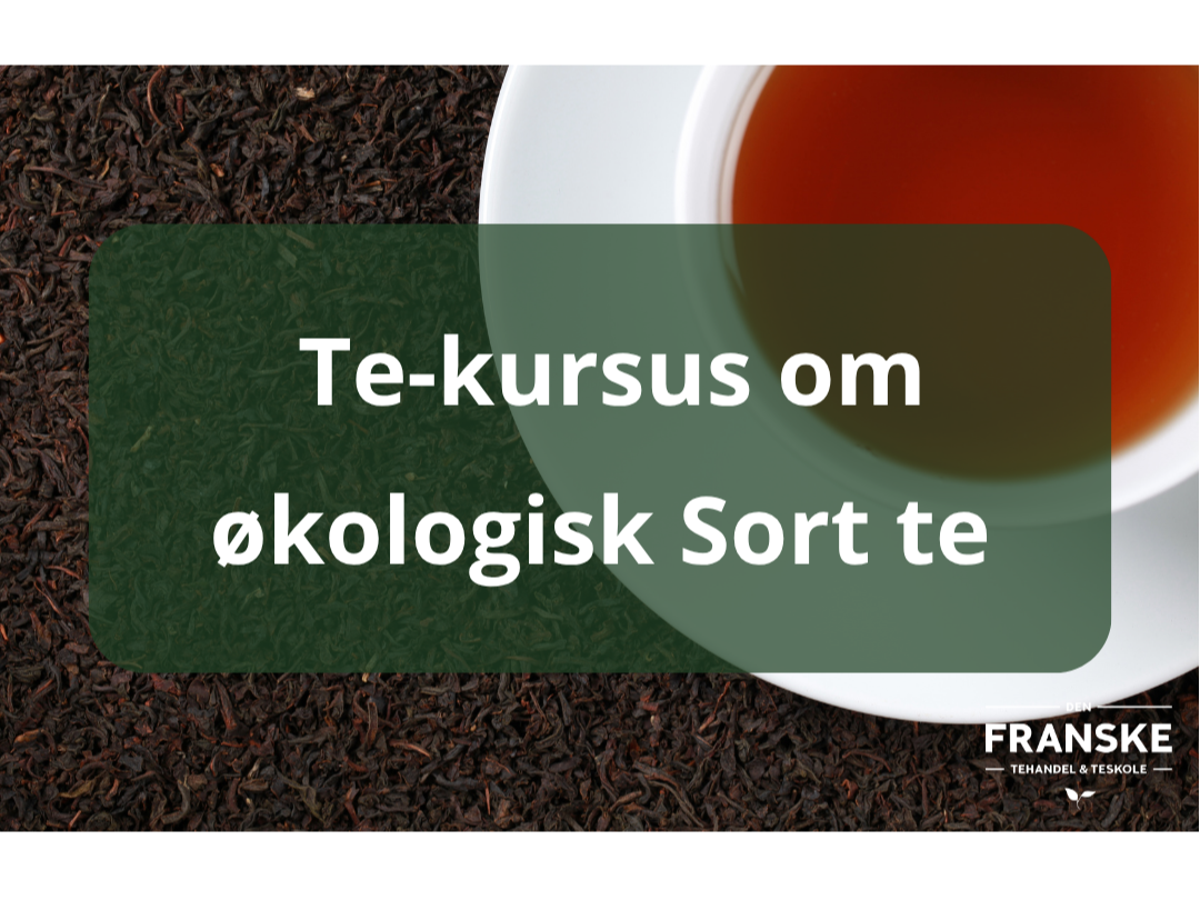 Kursus+om+Sort+te+NYESTE.png
