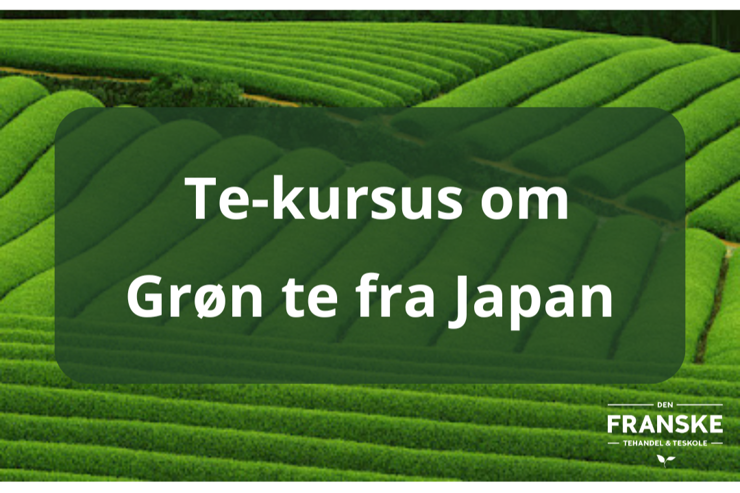 Et+kursus+om+japansk+gr%C3%B8n++te.png