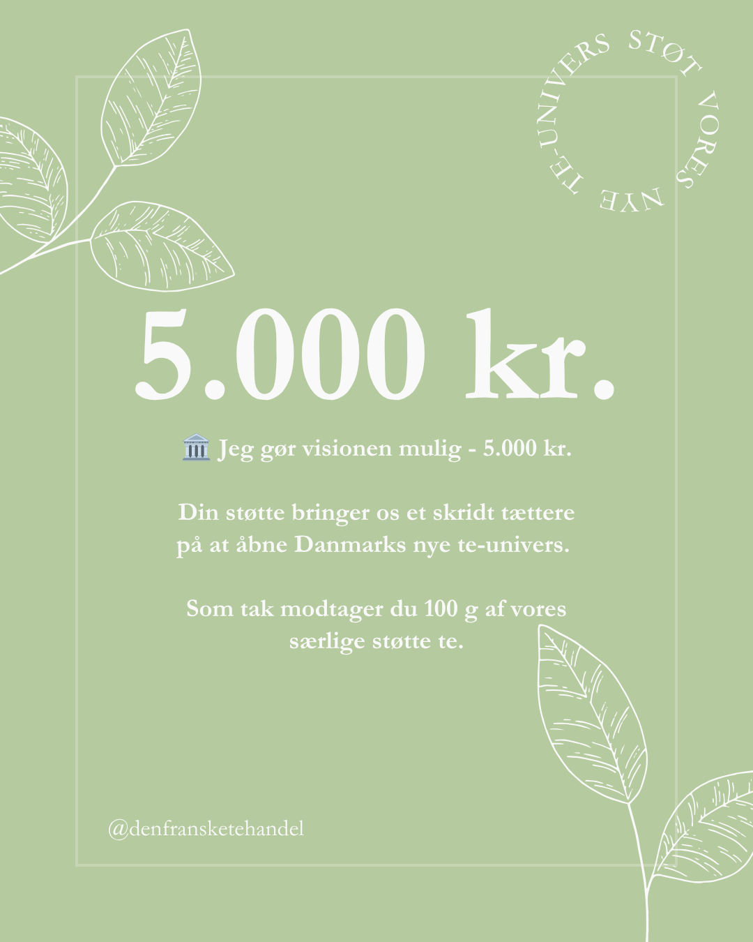 🏛️ Jeg gør visionen mulig