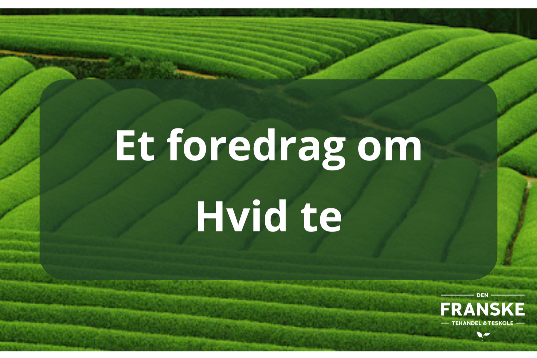 Et+foredrag+om+hvid+te.png