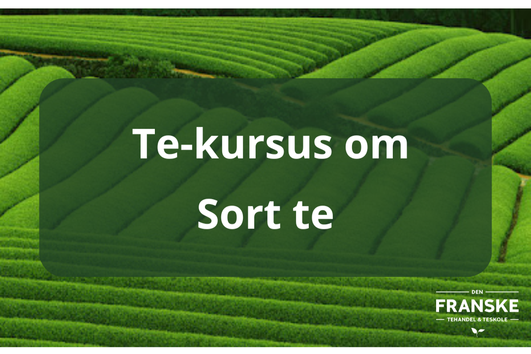 Et+kursus+om+sort+te.png