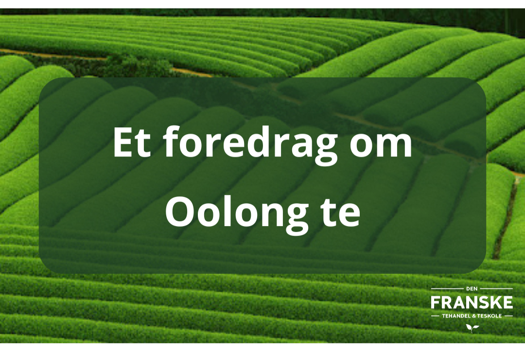 Et+foredrag+om+Oolong++te.png